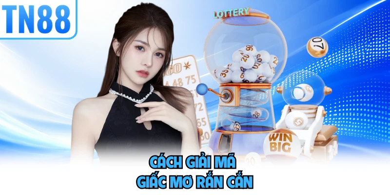 Cách giải mã giấc mơ rắn cắn